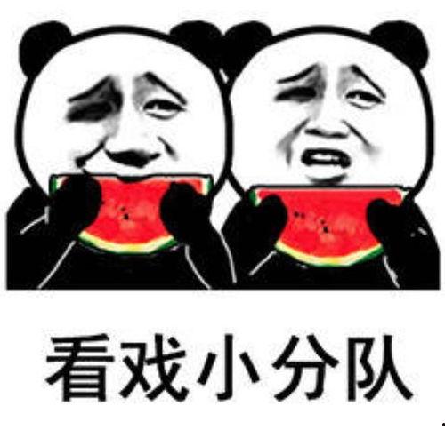表情包里吃瓜啥意思,网络热词背后的文化现象